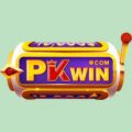 PKWin12 com – Chào mừng người chơi mới tặng tới 198K